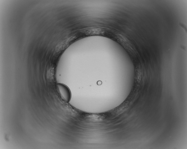 X0000100380326200806271340