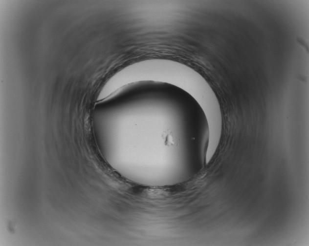 X0000100380327200806271340