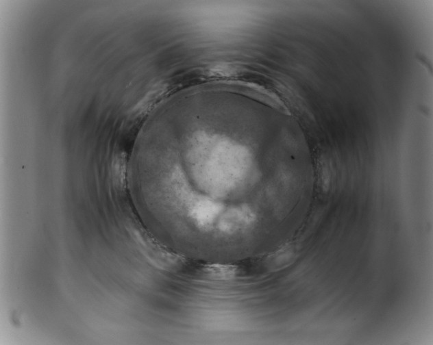 X0000100380328200806271340
