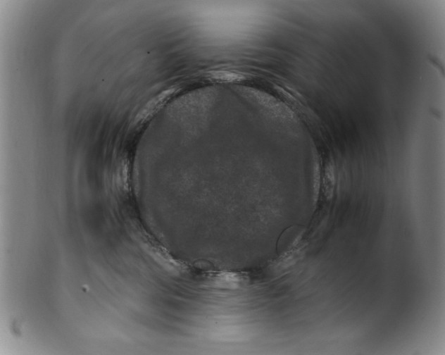 X0000100380330200806271340