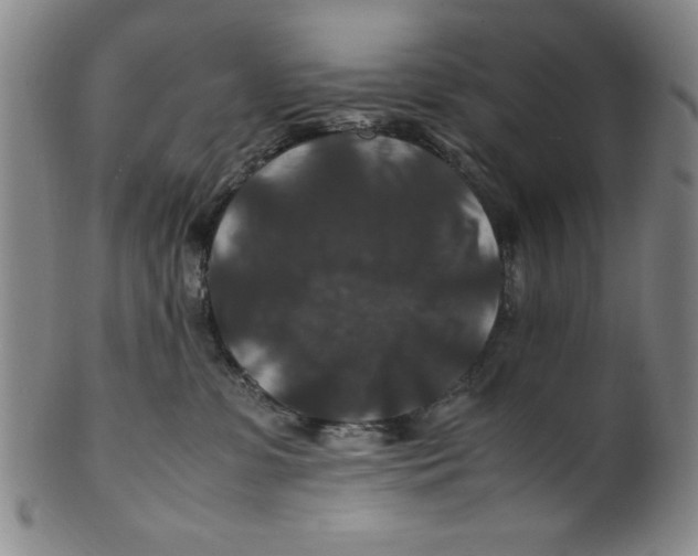 X0000100380331200806271340