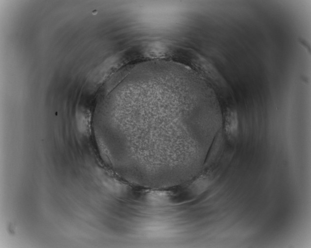 X0000100380332200806271340