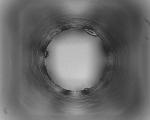 X0000100380333200806271340