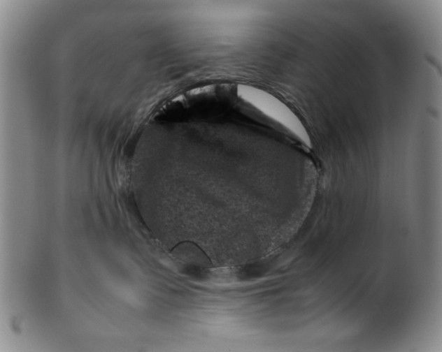 X0000100380335200806271340