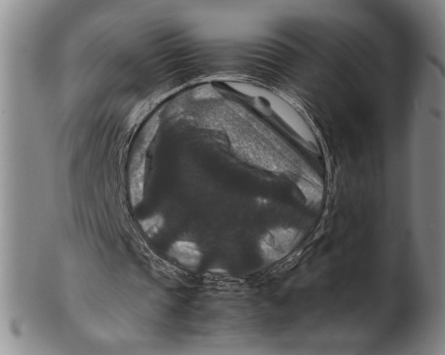 X0000100380337200806271339