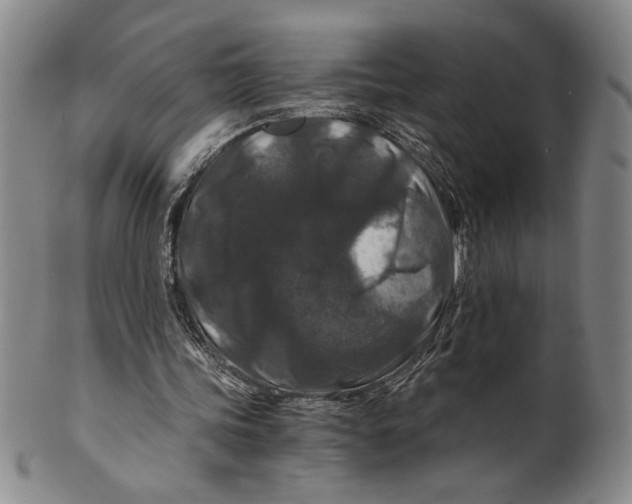 X0000100380339200806271339