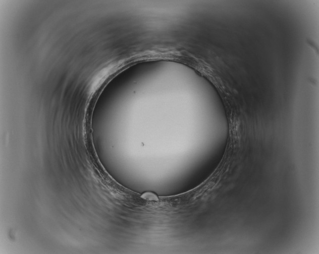 X0000100380340200806271339