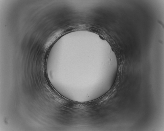 X0000100380341200806271339