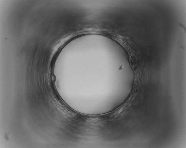 X0000100380342200806271339
