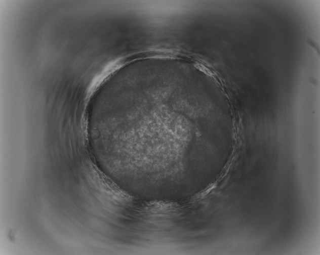 X0000100380343200806271339