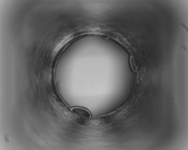 X0000100380344200806271339