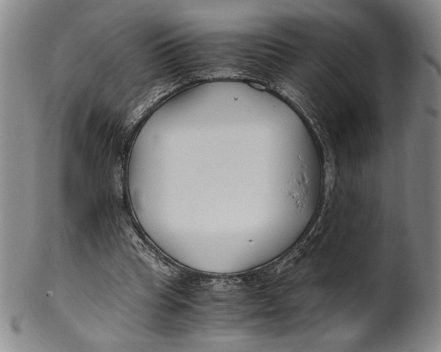 X0000100380345200806271339