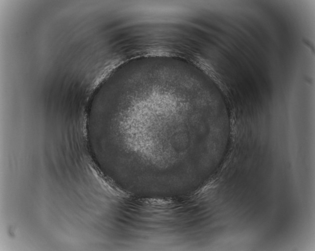 X0000100380347200806271339
