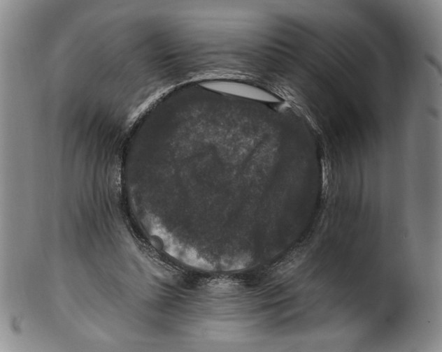 X0000100380348200806271339