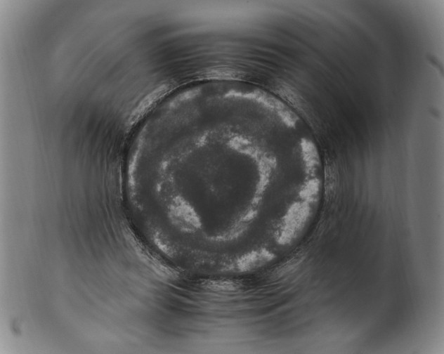 X0000100380349200806271339