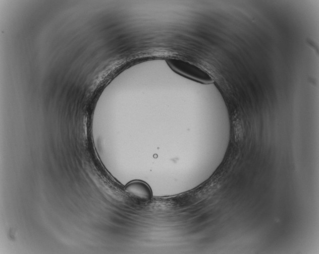 X0000100380350200806271339