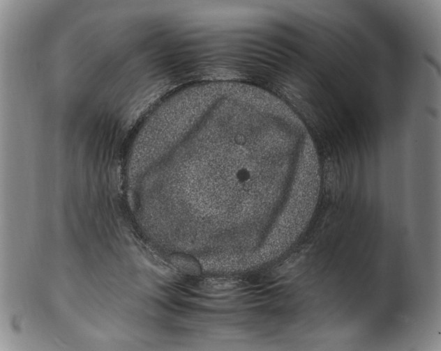 X0000100380351200806271339