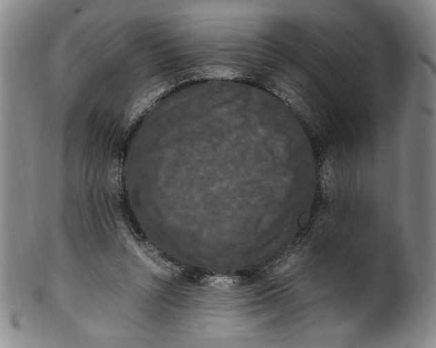 X0000100380352200806271339
