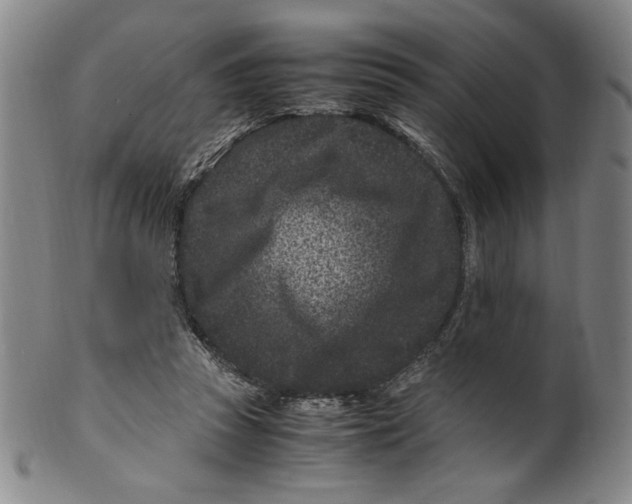 X0000100380353200806271339