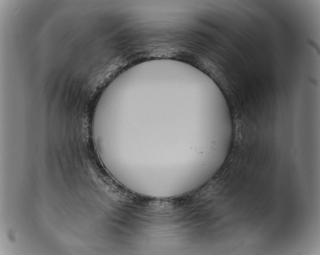 X0000100380354200806271339