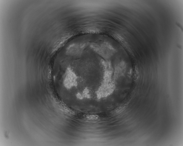 X0000100380355200806271339