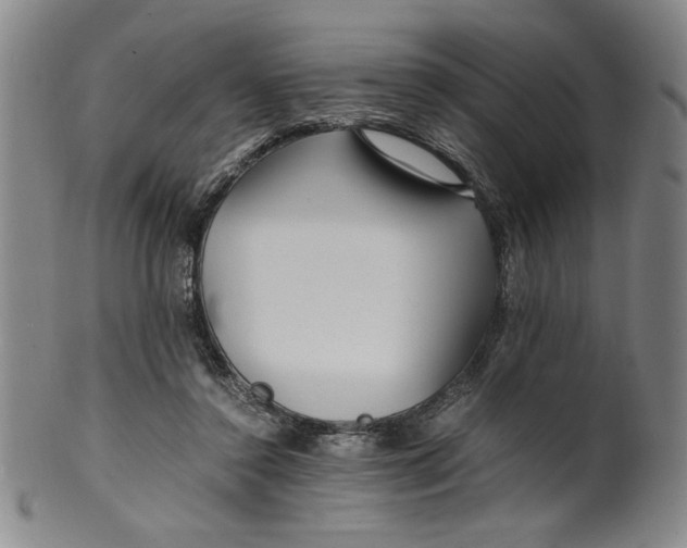 X0000100380356200806271339