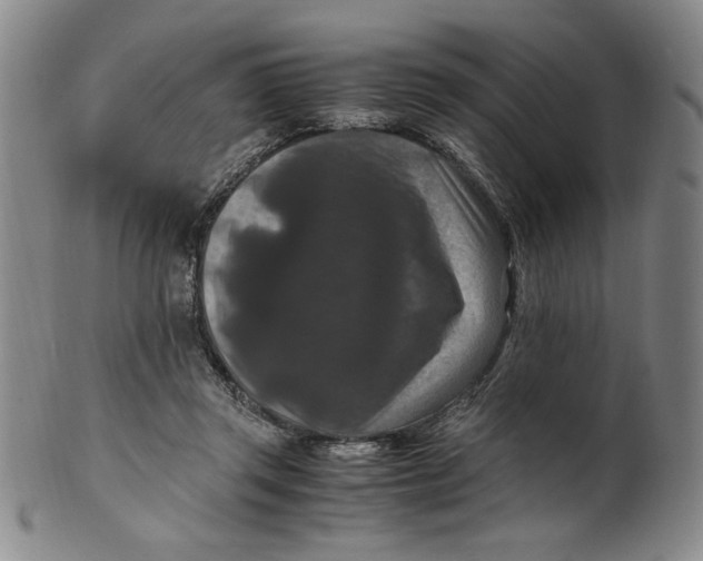 X0000100380357200806271339