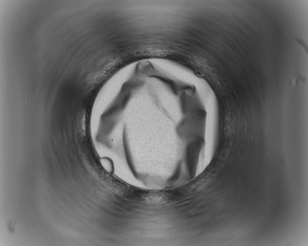 X0000100380358200806271339