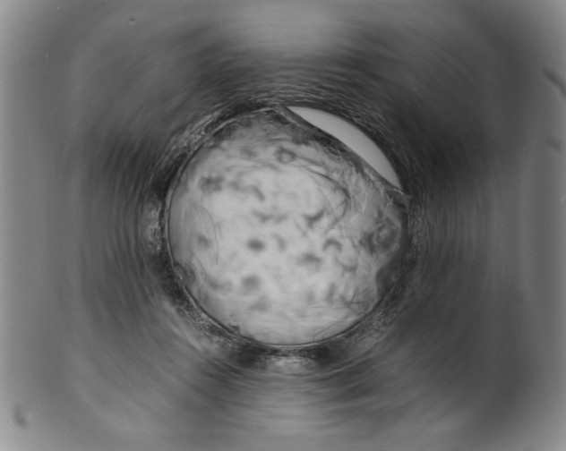 X0000100380360200806271339