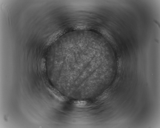 X0000100380361200806271340