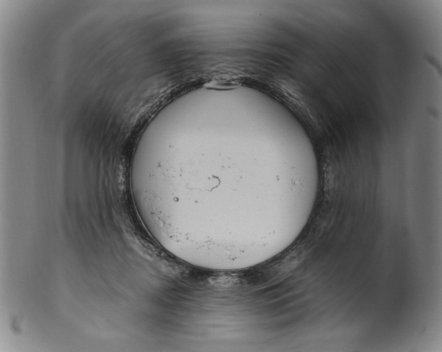 X0000100380362200806271340