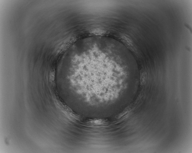 X0000100380365200806271340