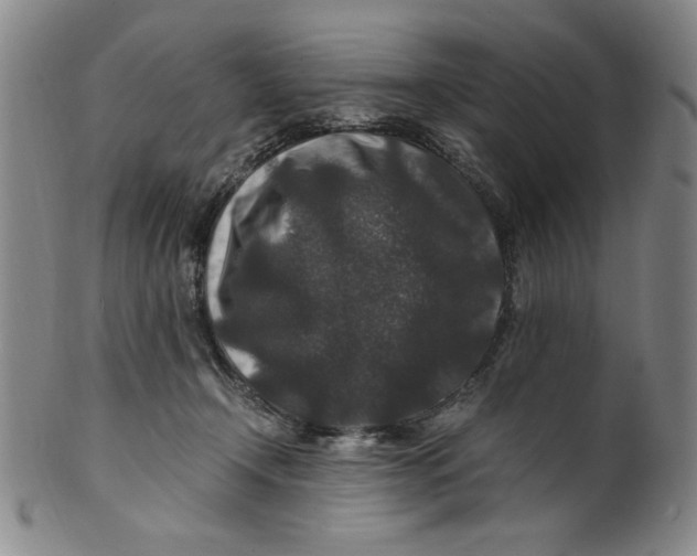 X0000100380366200806271340