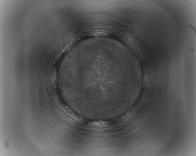 X0000100380367200806271340