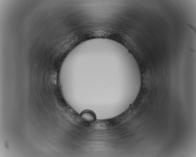 X0000100380368200806271340