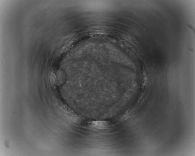 X0000100380371200806271340
