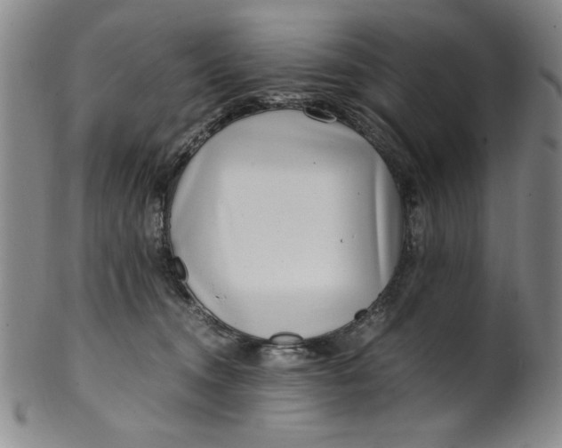 X0000100380372200806271340