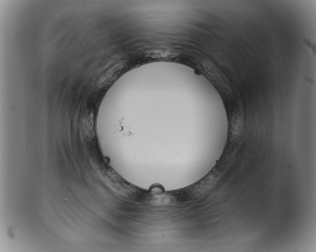 X0000100380376200806271340