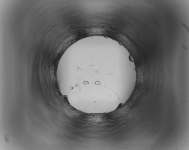 X0000100380377200806271340