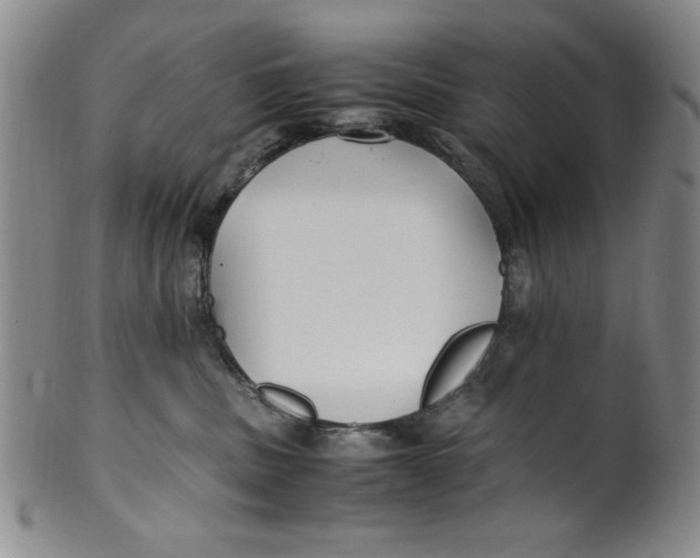 X0000100380379200806271340