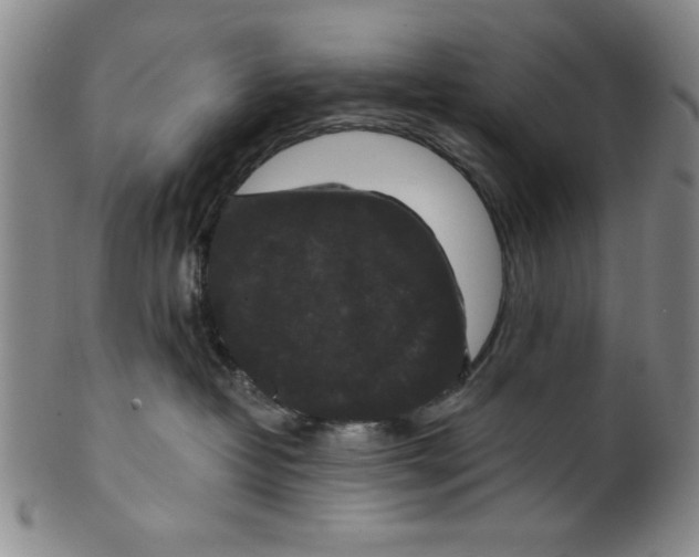 X0000100380382200806271340