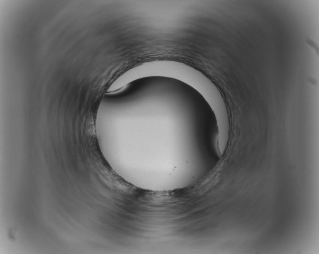X0000100380384200806271340