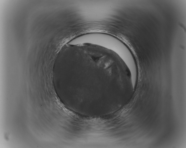 X0000100380385200806271339
