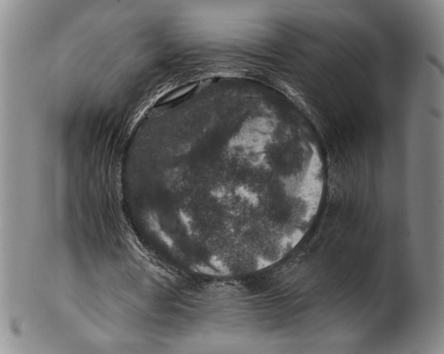 X0000100380386200806271339
