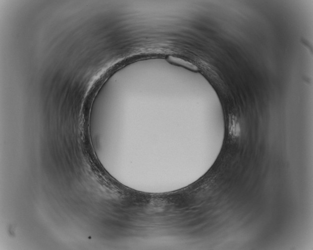 X0000100380388200806271339