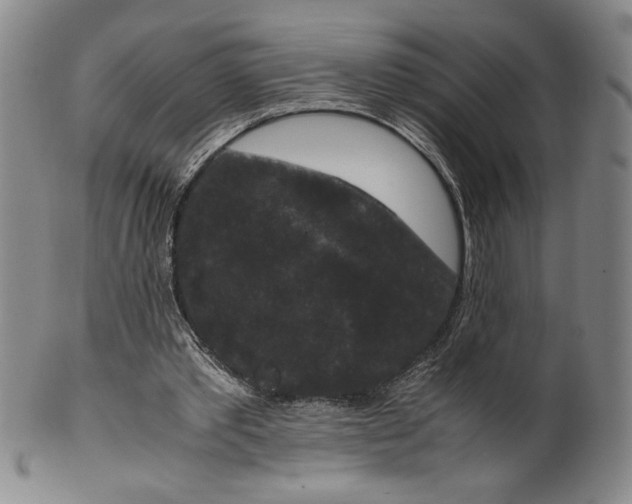 X0000100380389200806271339