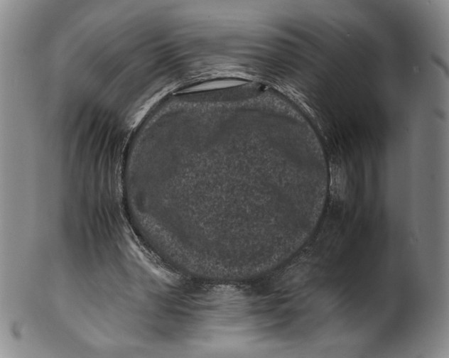 X0000100380390200806271339