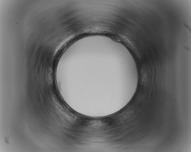 X0000100380392200806271339