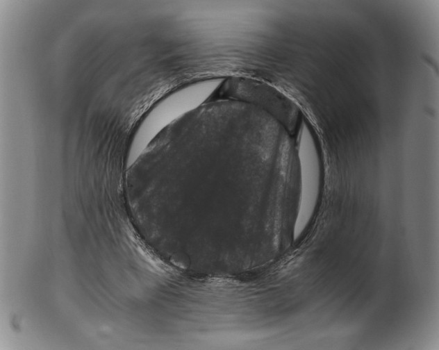 X0000100380393200806271339