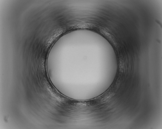X0000100380394200806271339